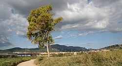 Castellar del Vallés con Sant Llorenç del Munt